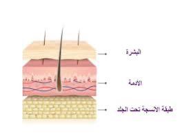 594ca817-fb9d-42a0-ac79-c73fa99ab87f