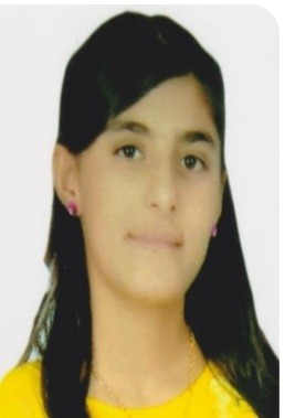 حنان سيف الدين العمر